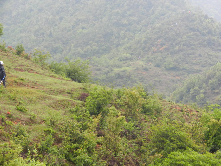 DSCN1418.JPG