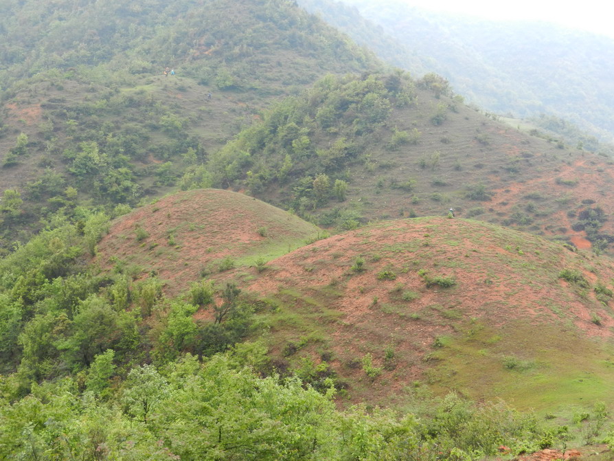 DSCN1420.JPG