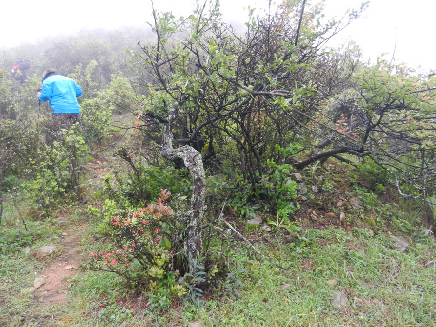 DSCN1427.JPG