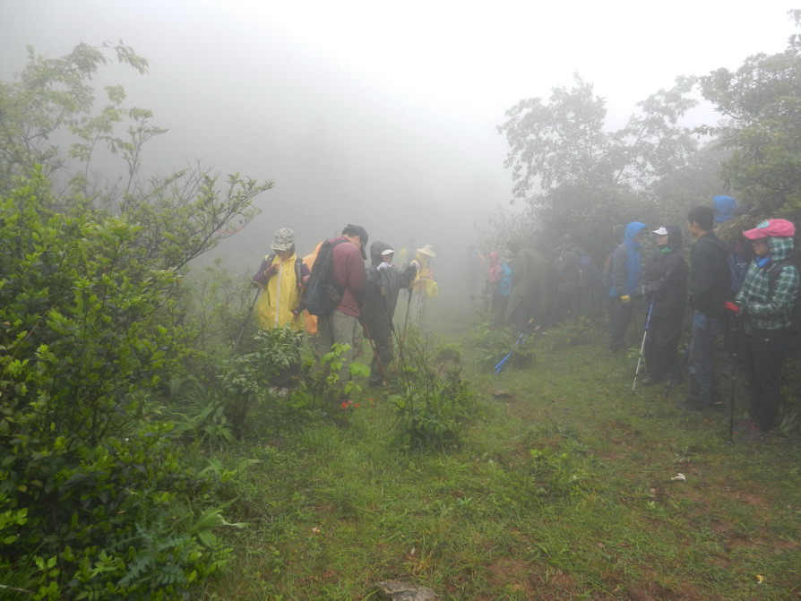 DSCN1433.JPG