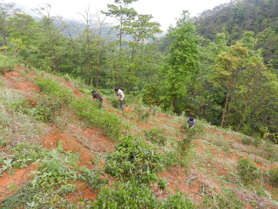 DSCN1470.JPG