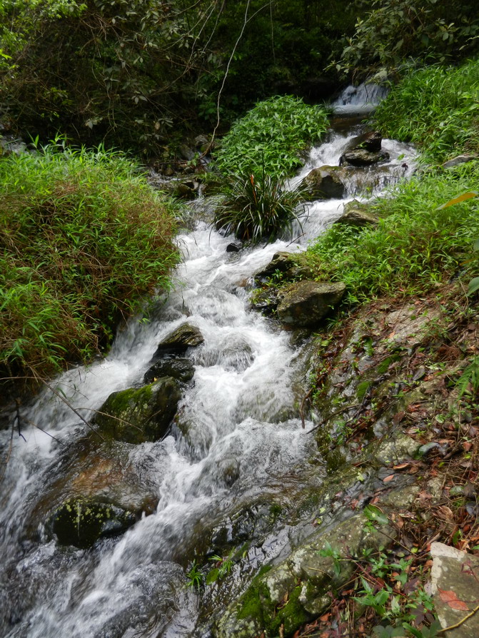 DSCN1509.JPG