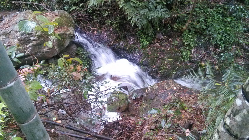 IMG_20130406_093439.JPG