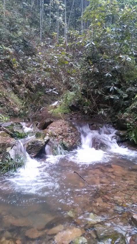 IMG_20130406_093612.JPG