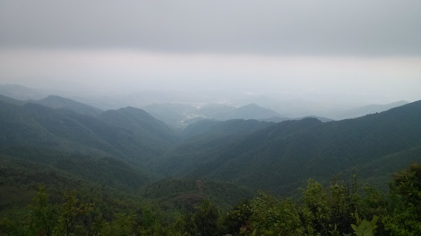 IMG_20130406_121452.JPG