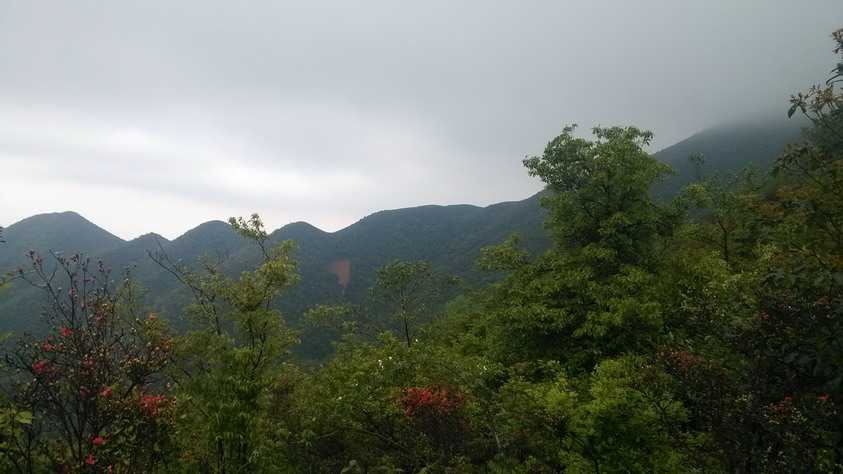 IMG_20130406_122745.JPG