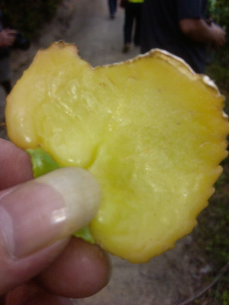IMG_20130414_135827.jpg