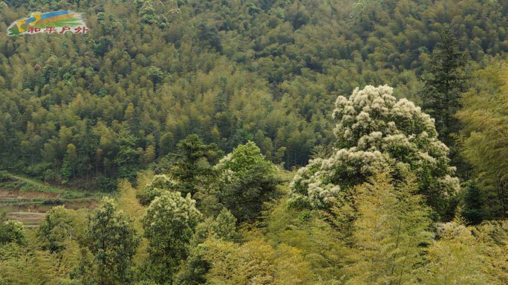 DSC03121.jpg