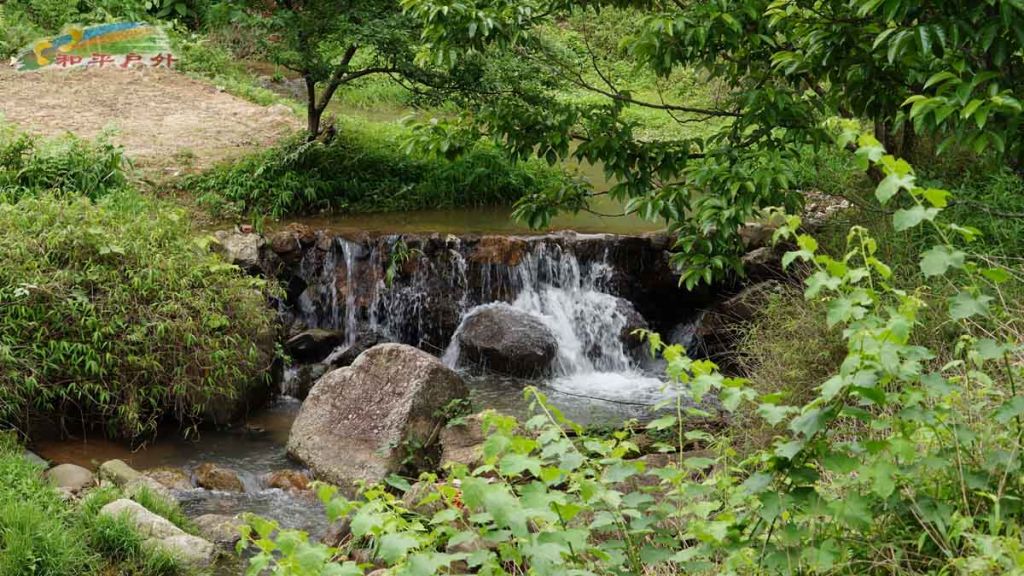 DSC03421.jpg