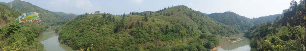 DSC03481.jpg