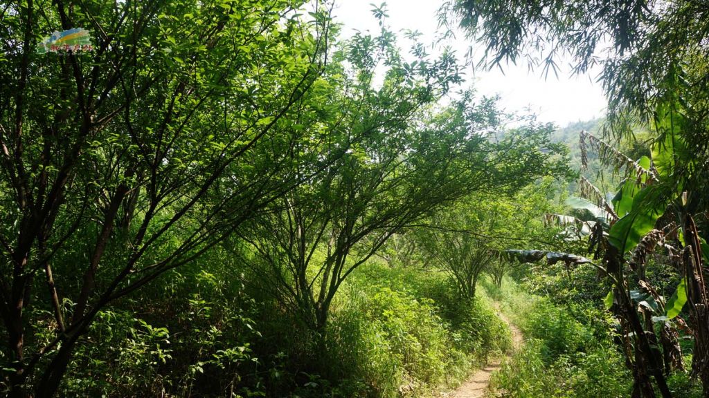 DSC03498.jpg