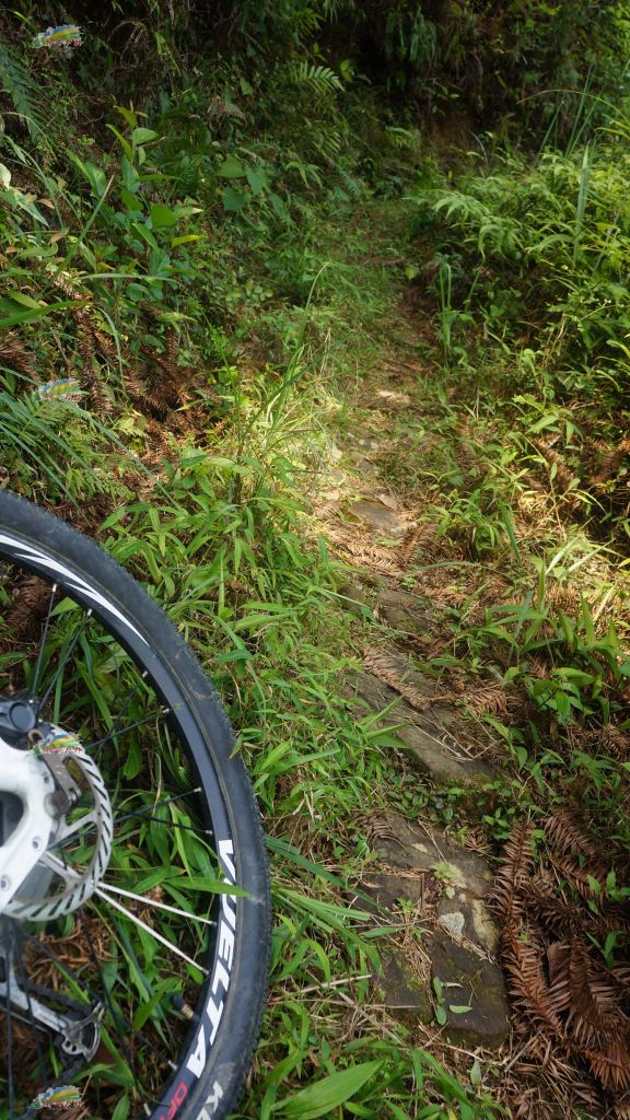 DSC03540.jpg