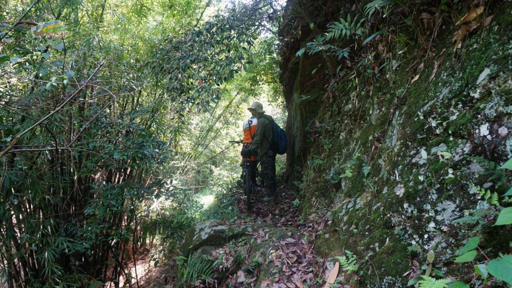 DSC03542.jpg