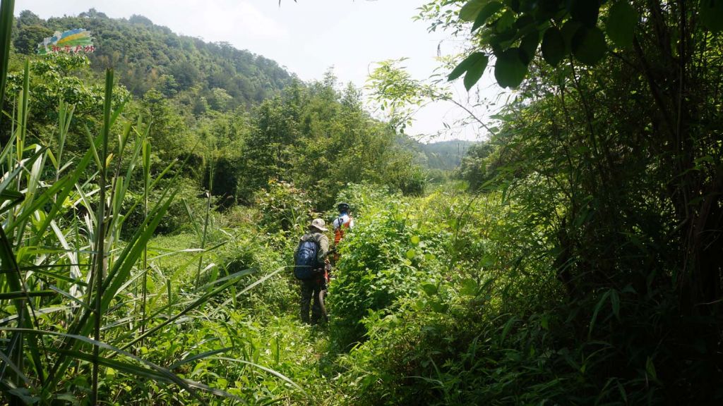 DSC03550.jpg