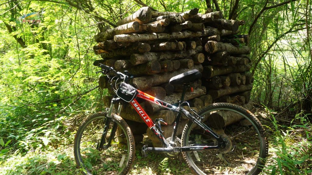 DSC03576.jpg