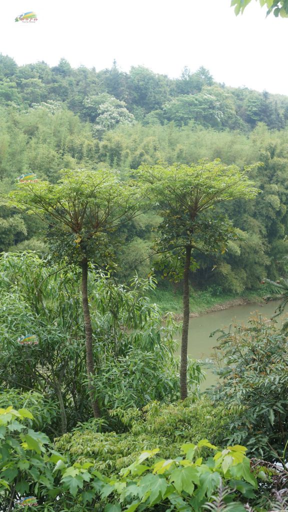 DSC03634.jpg