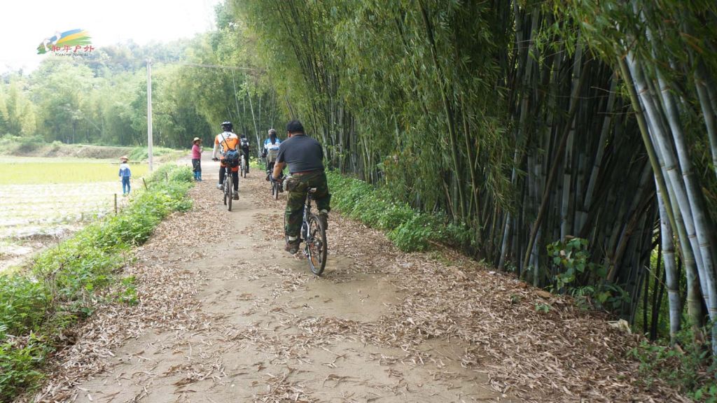DSC03726.jpg