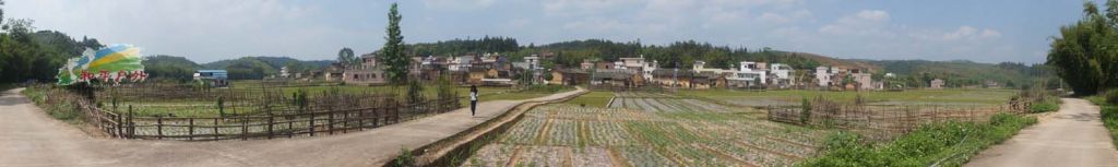 DSC03732.jpg