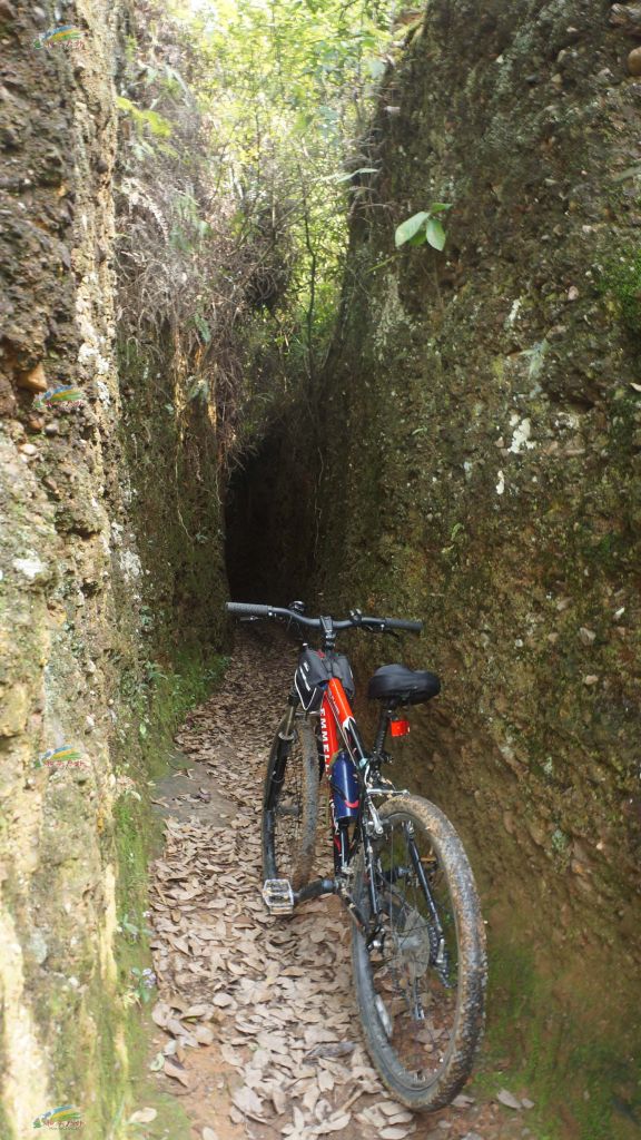 DSC03787.jpg