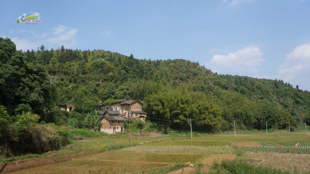 DSC03790.jpg