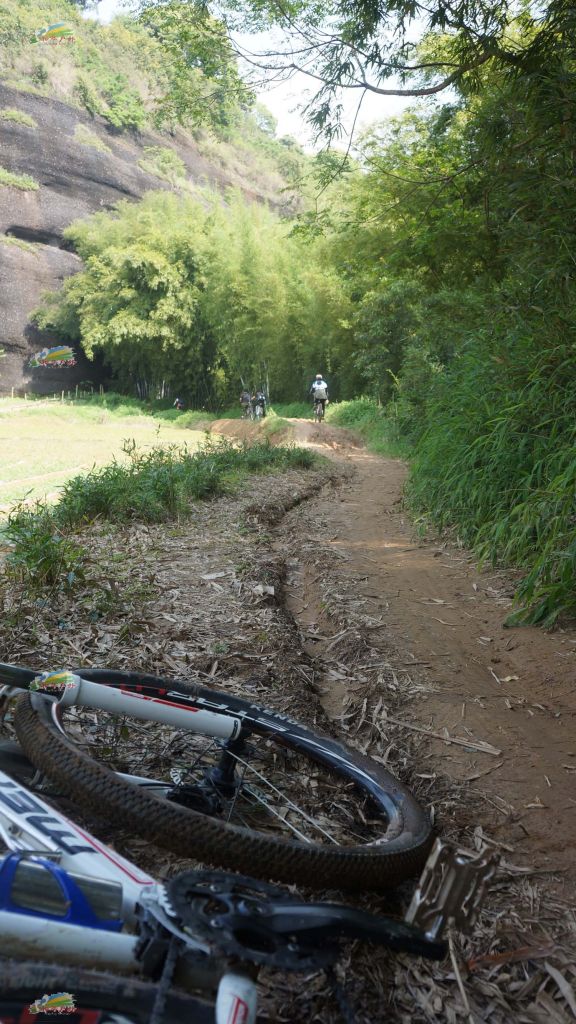 DSC03796.jpg