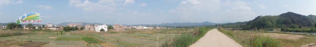 DSC03906.jpg
