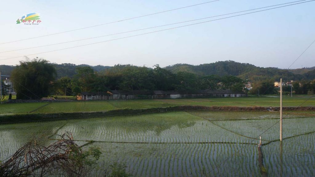 DSC03971.jpg