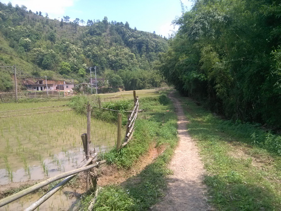 IMG_20130414_133033.JPG