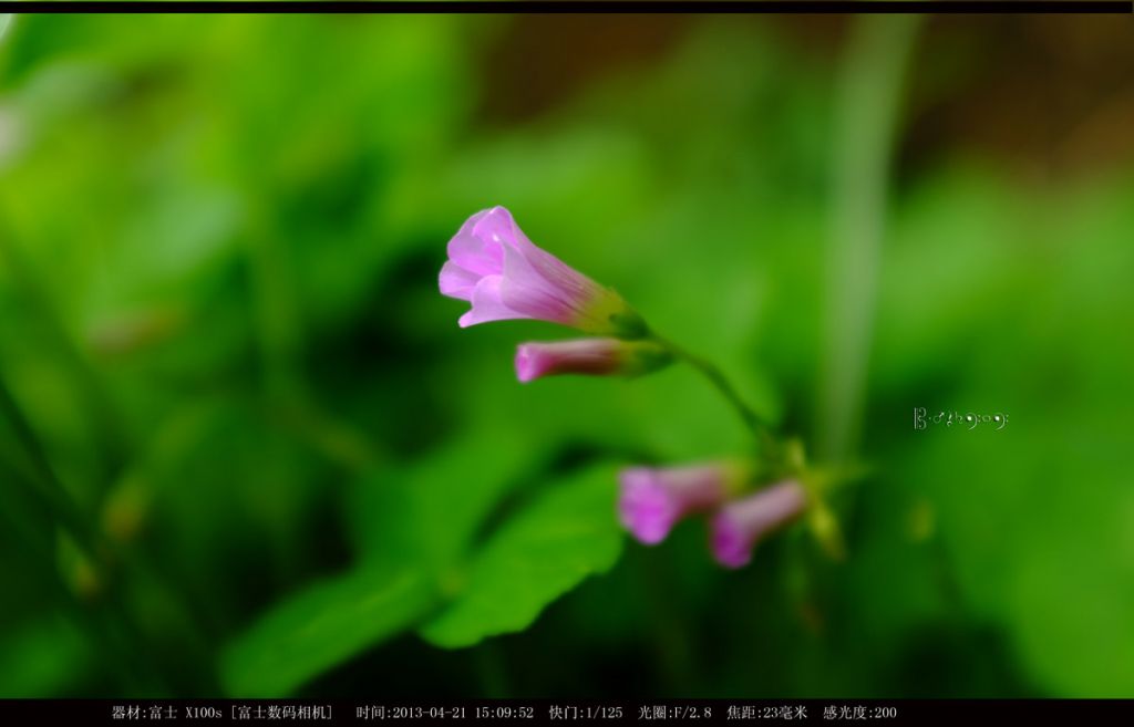 DSCF2148sss.jpg