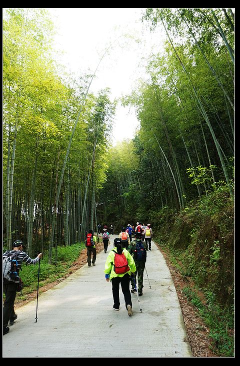 DSC02164.jpg