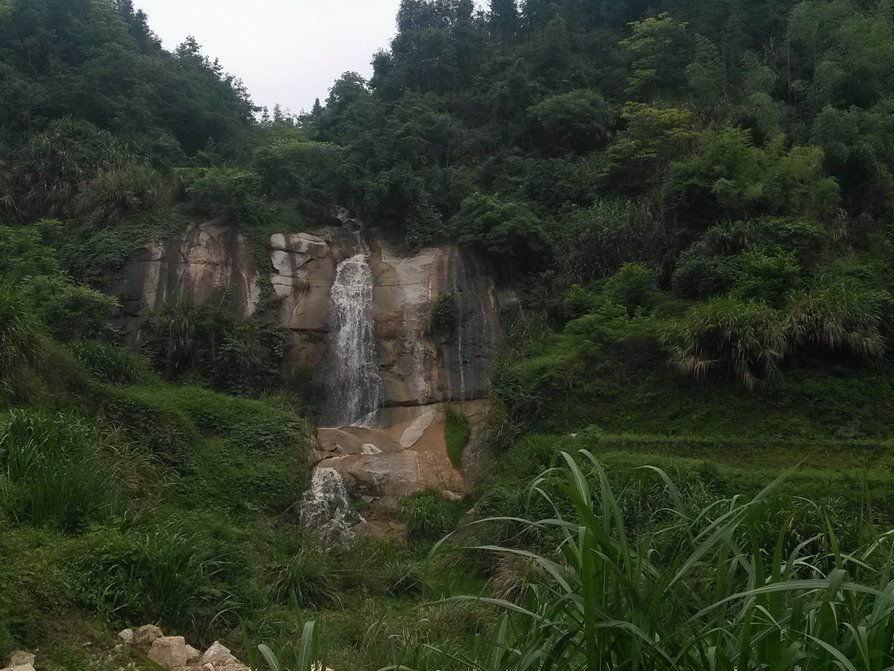 IMG_20130427_175032.JPG