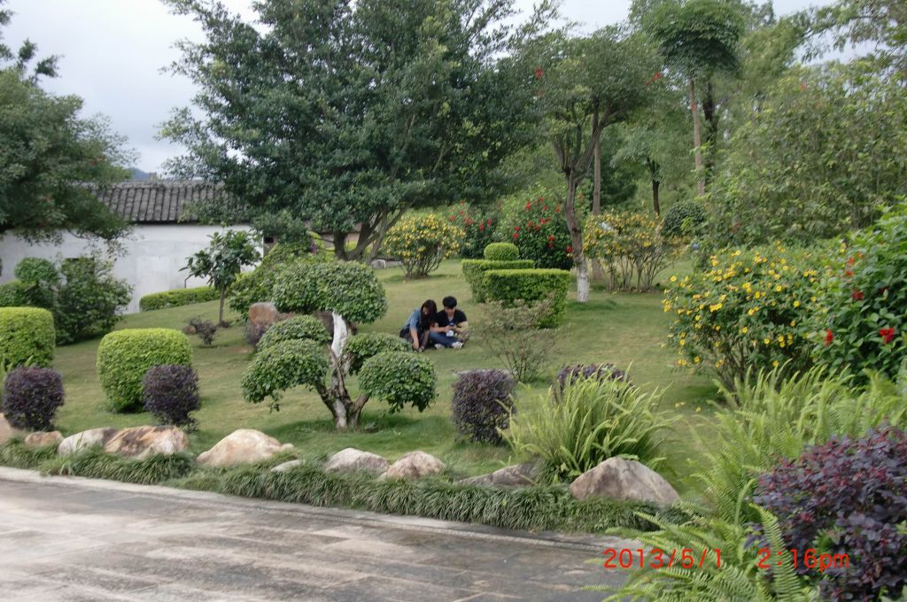 CIMG0182.JPG