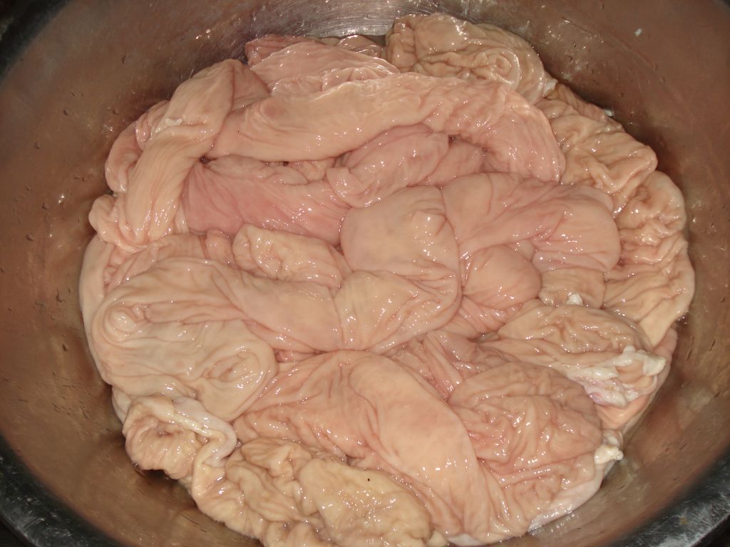 DSC07917.JPG
