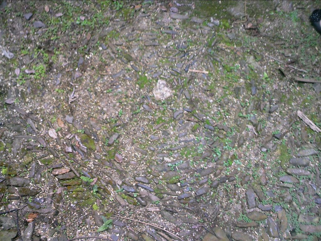 080712A039.jpg
