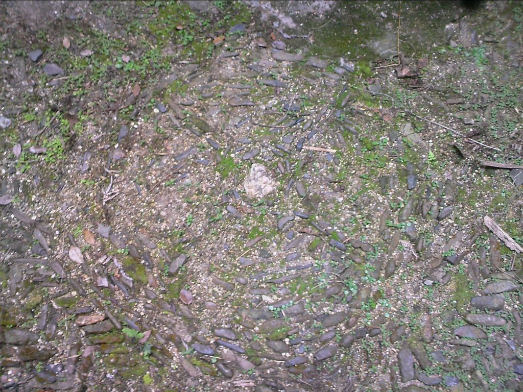 080712A040.jpg