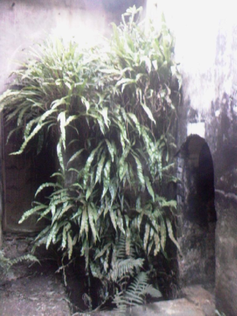 080712A059.jpg