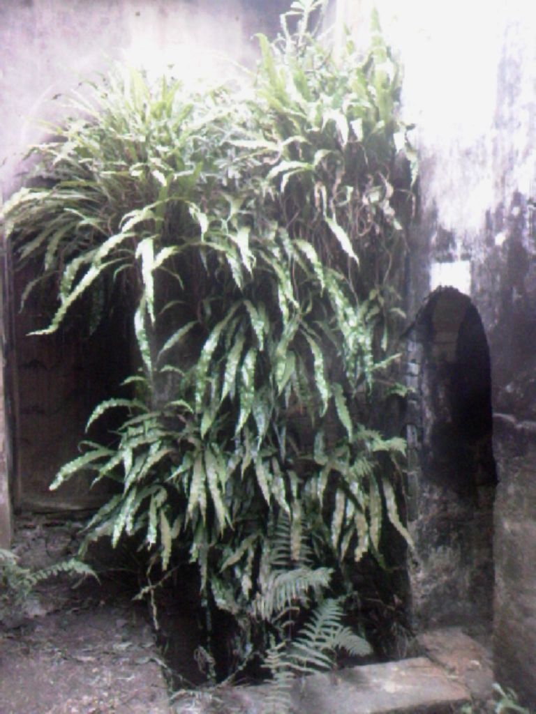 080712A060.jpg