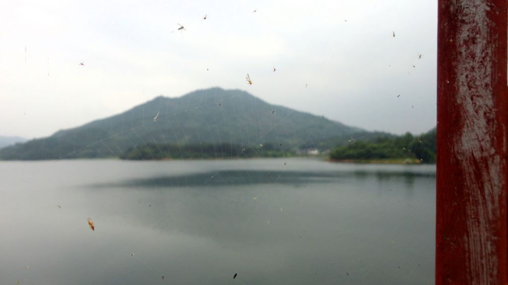 63.jpg