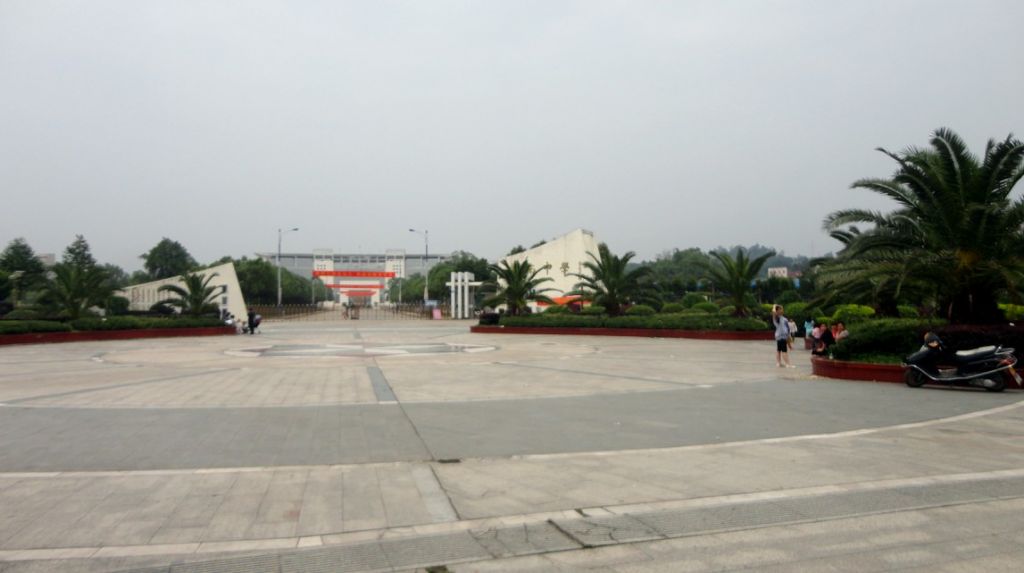 82.jpg