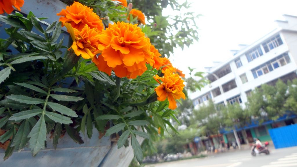 91.jpg