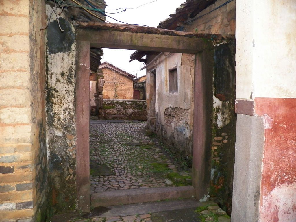 100_1421.JPG