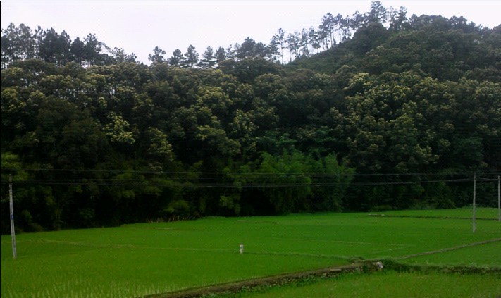QQͼƬ20130516181733.jpg