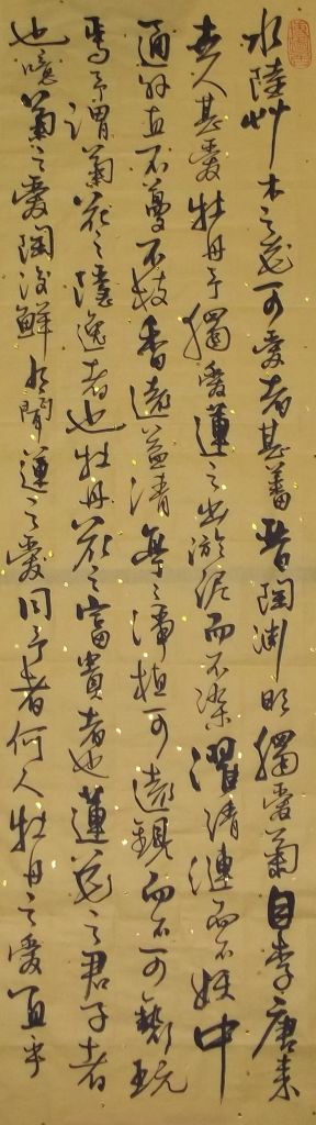 100_0218.JPG