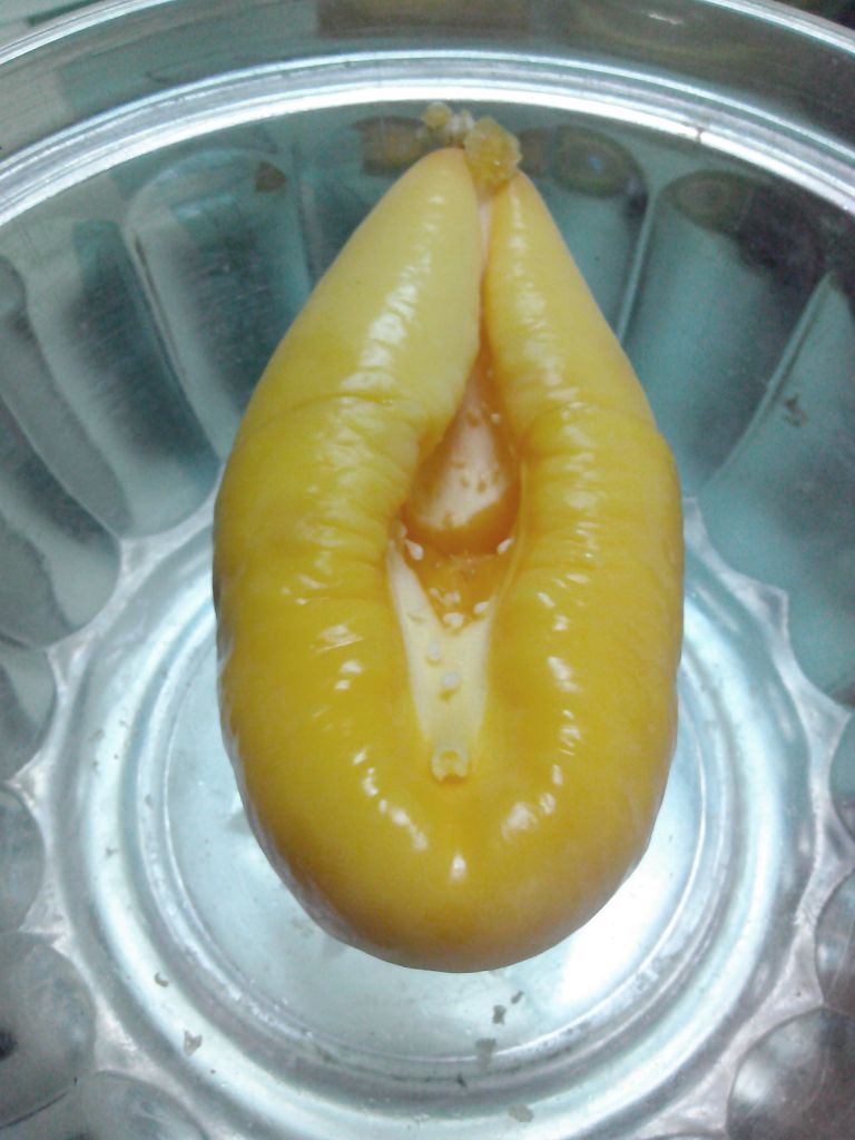 IMG_20130414_182538.jpg