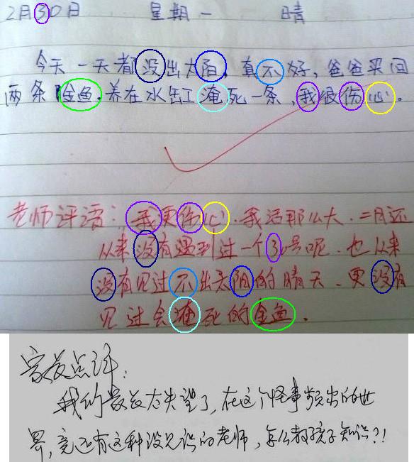1353018b8nrdtn5oexun8f.jpg