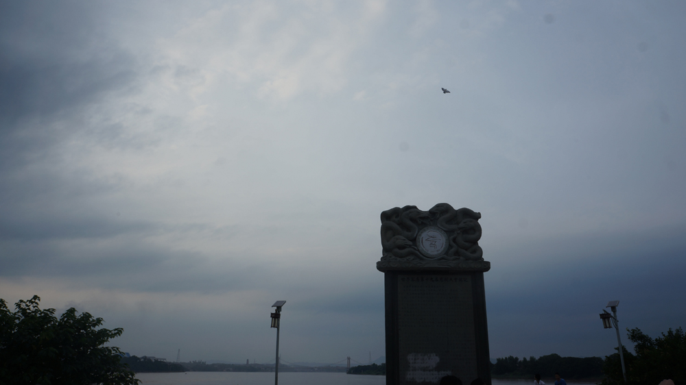 DSC00339.jpg