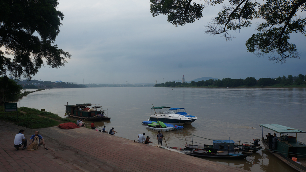 DSC00334.jpg