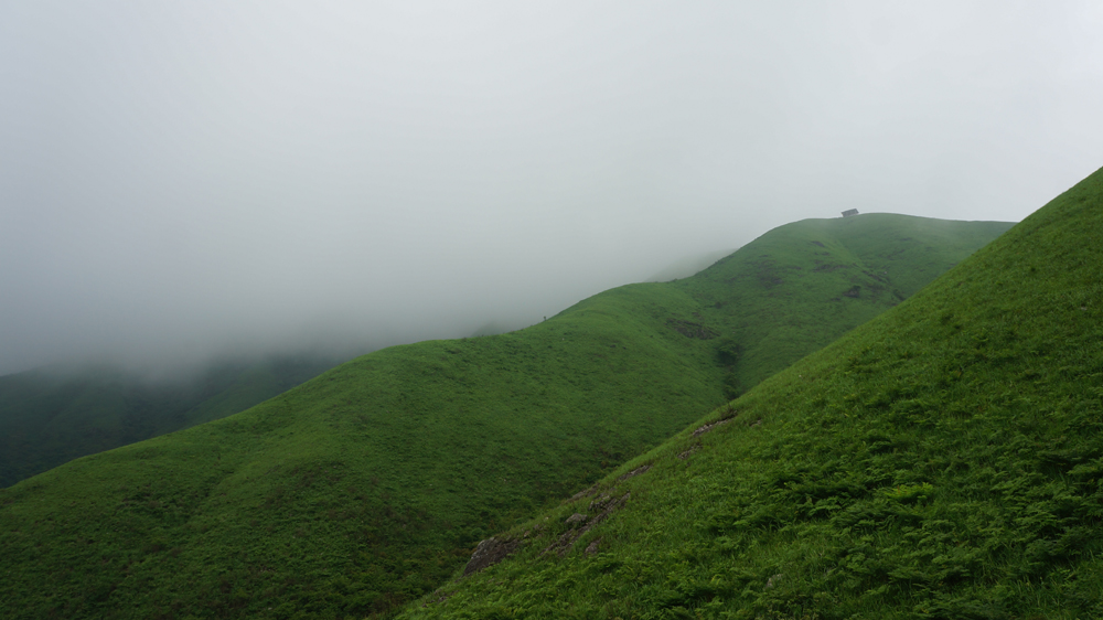 DSC09498.jpg