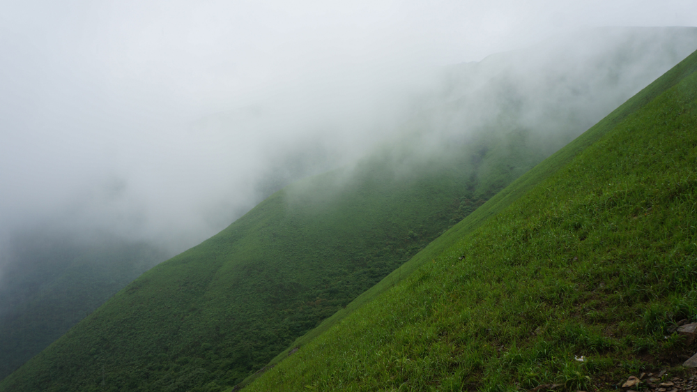 DSC09517.jpg