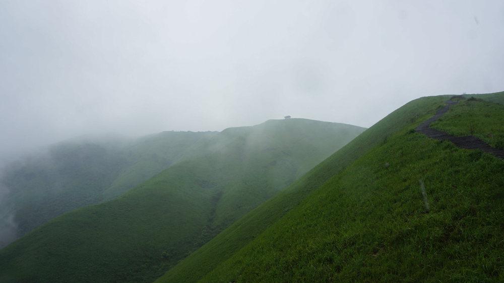 DSC09521.jpg